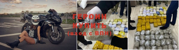 прущие грибы Верхний Тагил