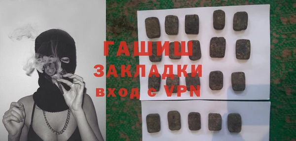 шишки Слюдянка