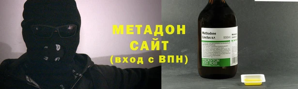 прущие грибы Верхний Тагил