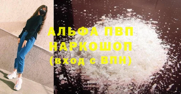 прущие грибы Верхний Тагил