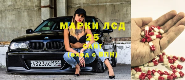прущие грибы Верхний Тагил