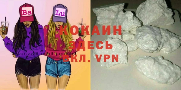 прущие грибы Верхний Тагил