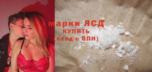 прущие грибы Верхний Тагил