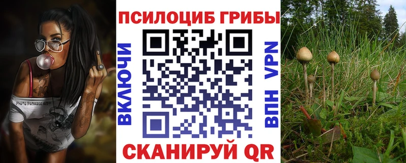 Псилоцибиновые грибы Magic Shrooms  Волгореченск 